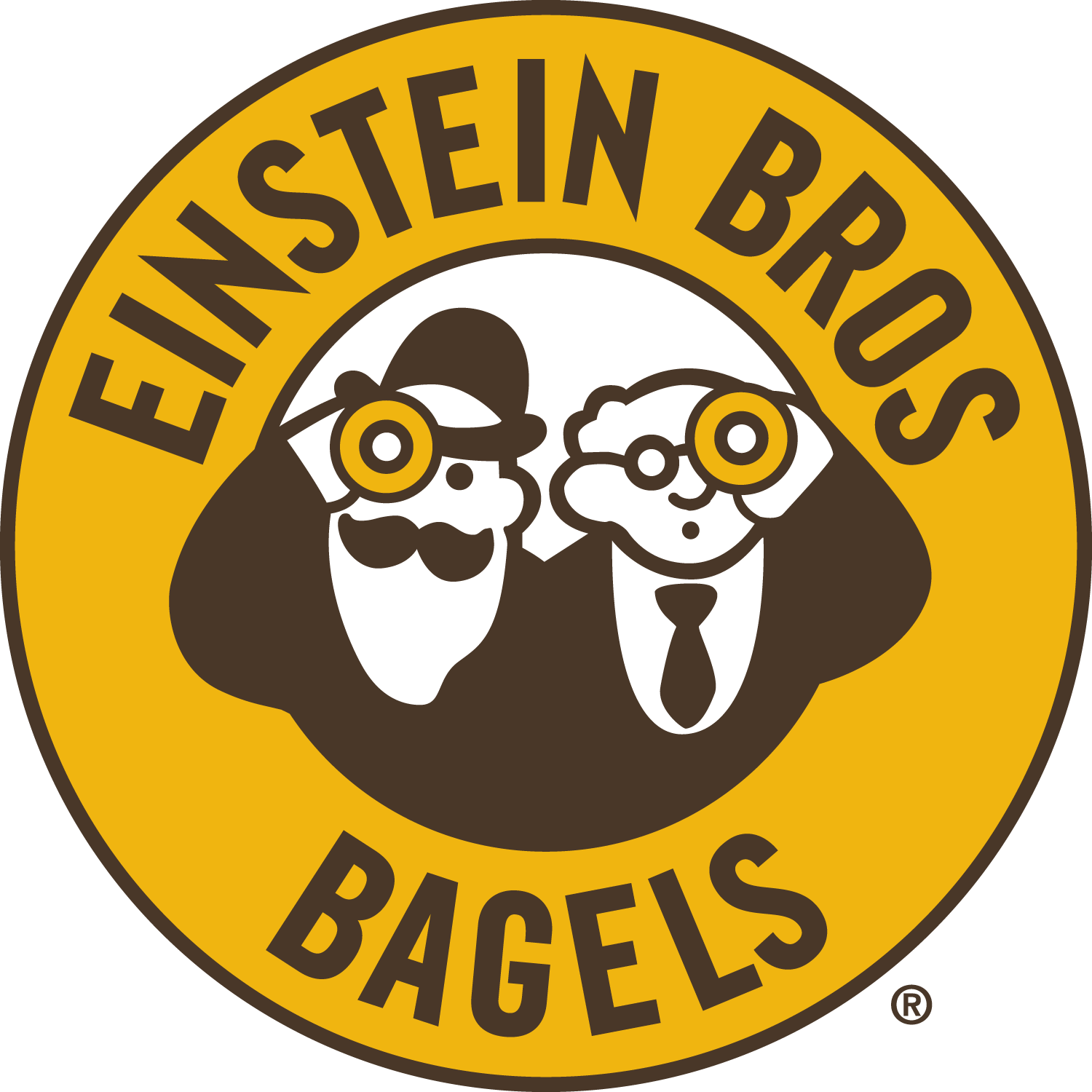 einstein_logo.13c66612